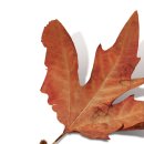 수원천로392번길 이미지