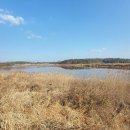 사초 해변공원 이미지