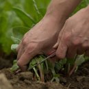 자연과치유 이미지