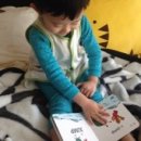 잉글리쉬트리영어홈스쿨