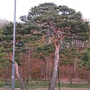 수원-0915 이미지