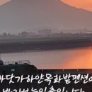 바닷가 하얀목화밭 이미지