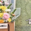 오백샵 이미지