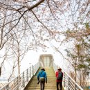 영종해안북로 이미지