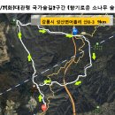 Re: 11/7(화)대관령 국가 숲길 2구간(향기로운 소나무 코스) 이미지