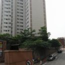 추규열외과의원 Daum카페
