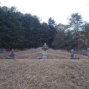 흥은위 정재화묘 이미지