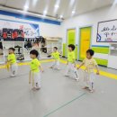 정수태권도장 이미지