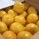 석영1호 이미지