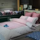 알레르망스핑크스군산점 이미지