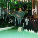 금화파크 이미지