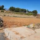 미암면사무소 이미지