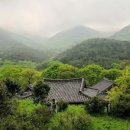 우들농장 이미지