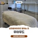 옥정동로 | 양주옥정에서 브라운아이라인 잘 하는 무이무드 찐 후기!