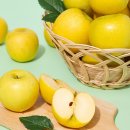 (주)더조은 이미지