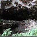 서귀동 천지연 생수궤 이미지