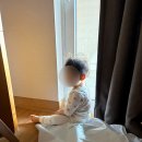 신한차바닥 | 소노캄 제주 숙박 후기｜5살·10개월 아이와 3박 4일 솔직후기