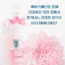 에이스체크 이미지