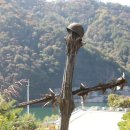 캠핑n펜션 | 화천펜션 캠핑n펜션에서 조용히 쉬고 온 후기