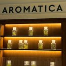 미주리헤어 | 갑자기 쓰는 2023 올리브영 어워즈 페스타 후기 🩷💚