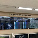 친환경태양목장 이미지