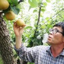 한빛유통 이미지