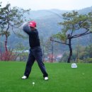 코스카cc 이미지