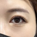 멜트브로우 | 단구동속눈썹 잘하는곳 원주 멜트브로우 JC컬 연장후기
