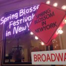 신양 벚꽃길 이미지