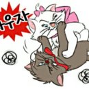 부부홍어