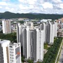 대한부동산 | 부동산 세입자 보호 정책, 임대차 3법 등에 대한 요약 정리. [부동산 뉴스 후기]