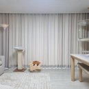 주노하우스 | 반려동물 맞춤 커튼 & 고양이 출입문, 집사들의 선택! 주노홈테크 설치후기