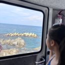 뒷개(후포)마을 해안도로 | 울진 죽변해안스카이레일, 동해바다 가장 가까이서 달려본 진짜 해안 드라이브
