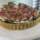 쌍방울애견 이미지