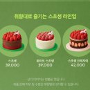 경산농업협동조합 | 대구 경산 투썸플레이스 두초생 3주 기다려 먹은 후기