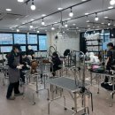 펫아카데미경남학원 네이버블로그