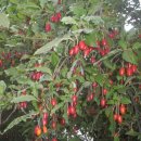 청마농장 이미지