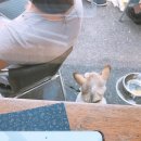 110공병