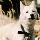 멍나들이 이미지