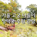 비원다방 | 창덕궁 후원 예약 성공! 가을 고궁 나들이 코스 추천