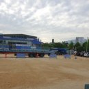 충주중앙초 이미지