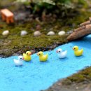 미니정원(테라리움) 이미지