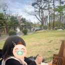 세븐일레븐 부산UN평화점 | 가덕 시골채 더덕구이와 고기한판 부산 UN 평화공원 피크닉