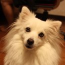 안녕하세요 이미지