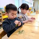 실내초병설유치원 이미지