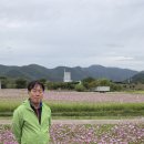갑수씨랑 부산 화명생태공원, 대동생태체육공원 코스모스꽃단지(26.10.23. 금) 이미지