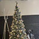 미카엘 | 서울대입구역 양식 맛집, 비스트로미카엘 내돈내먹 후기