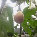 옥분농장 이미지