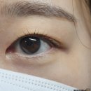 더미 | 은평구속눈썹펌 맛집 더미뷰티 | 속눈썹펌 받은 솔직 후기