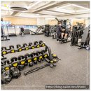 피지오숲 이미지